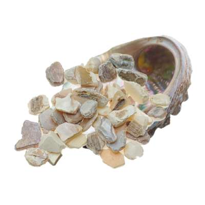 Polished mother of pearl shell chips for terrazzo