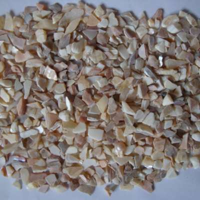 polished mop shell chips